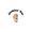 Jenkins' Ear