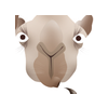 Camel_bigger_large