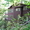 Westside Lodge