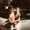 Chrystal Griffith Pelletier Jayne