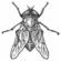 Gr Gdfly