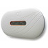 Envoy_angleview_medium