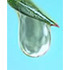 Cure Tooth Decay™ Help & Support