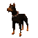 Marja