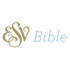 Esv-bible-gs_large_medium