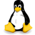 Linux_logo_medium