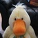 grumpyduck@sky.com