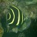 DeepDiver