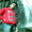 Andi Akbar