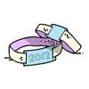 Wristband_large