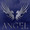 Angel Noir